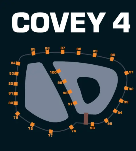 COVEY-4-480x530