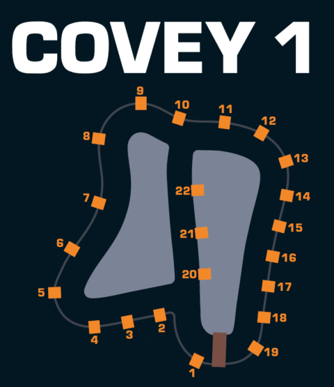 covey-1-480x555